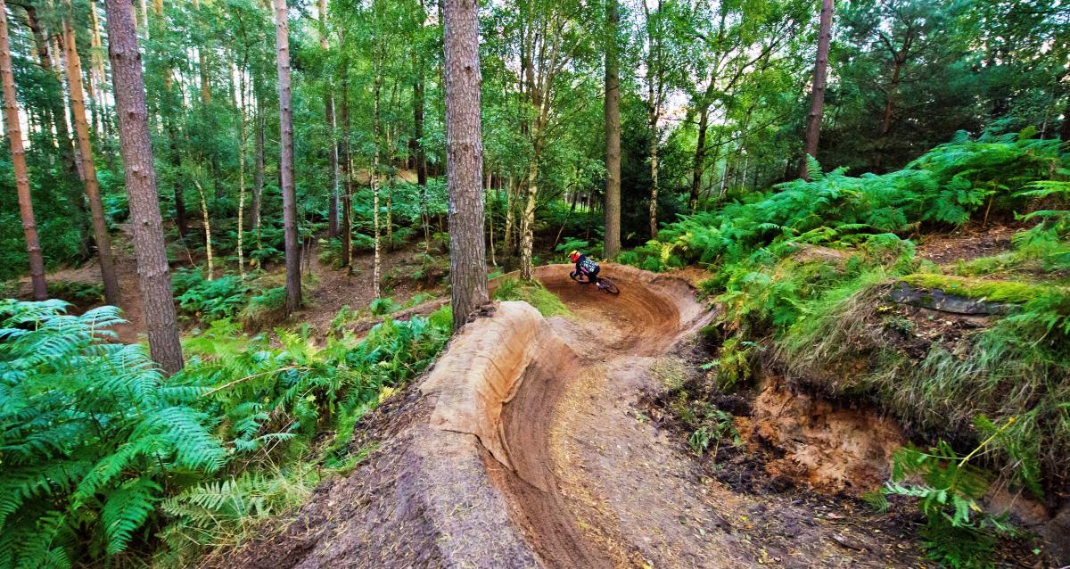 Image of woburn trails  anita hartley(2)
